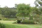 Riverhillsresidential-landscaping-40.jpg; ?>